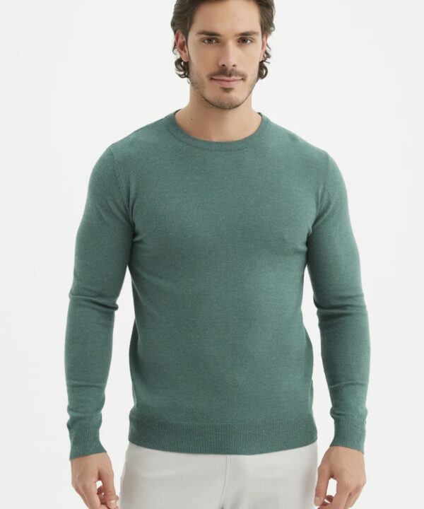 Pull Ronald Menthe - Yves Enzo